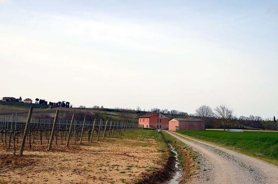 Detached house w Montepulciano