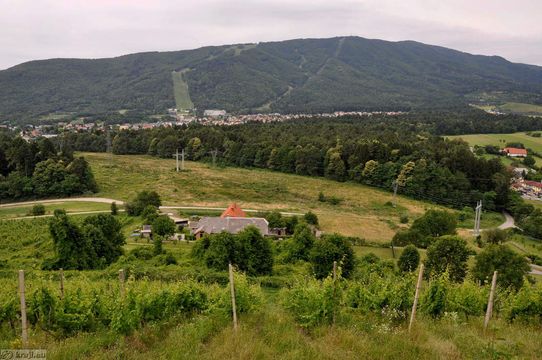 Land w Maribor