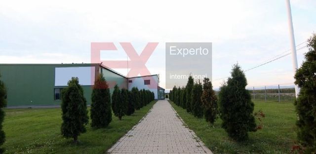 Plant / Factory w Covasna