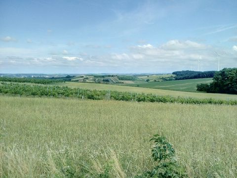 Land w Mistelbach