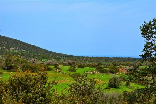 Land w Paphos Municipality