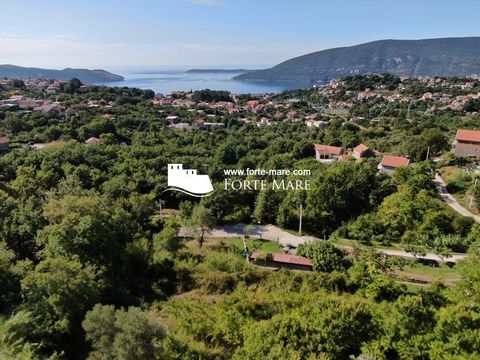 Land w Herceg Novi
