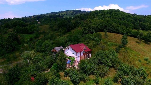 Villa w Sălătrucel