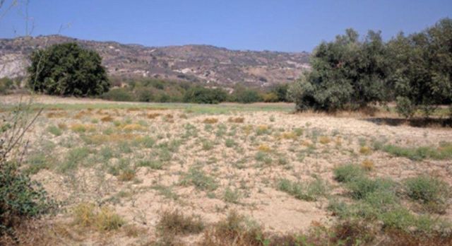 Land w Paphos Municipality