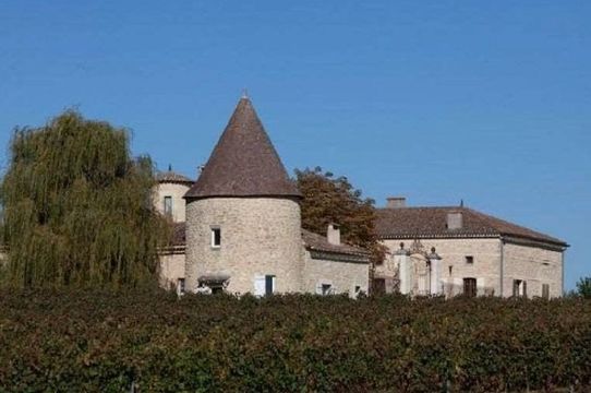 Castle w Bordeaux