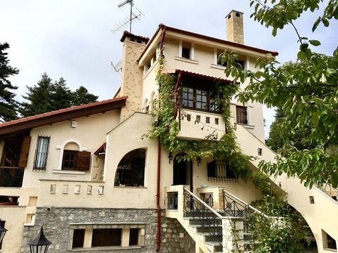 Villa w Arachova