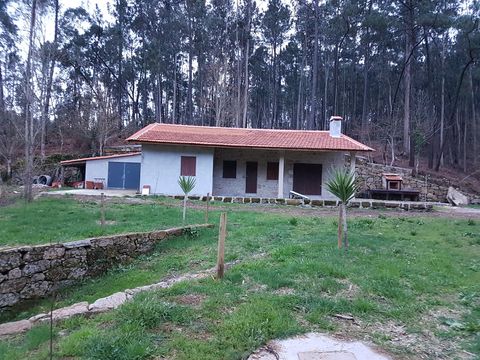 Cottage w Arouca