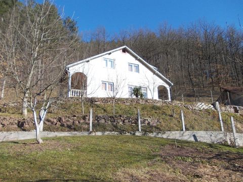 Estate w Gornji Ribnik