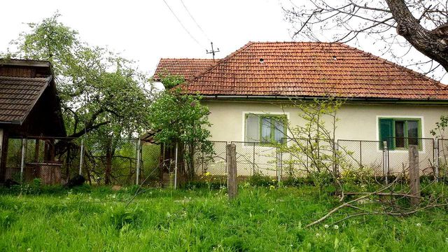 House w Leauț