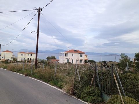 Land w Aegina