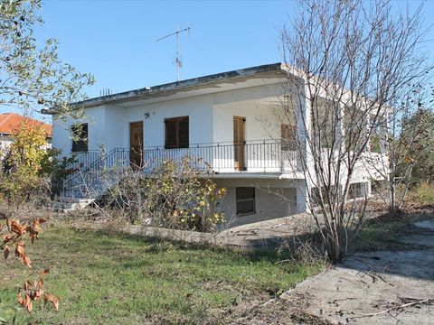Cottage w Katerini