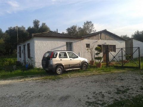 Detached house w Zakynthos