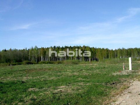 Land w Ogresgala pagasts