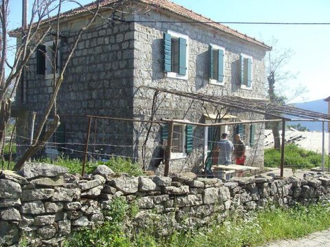 Estate w Herceg Novi