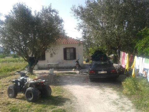 Detached house w Zakynthos