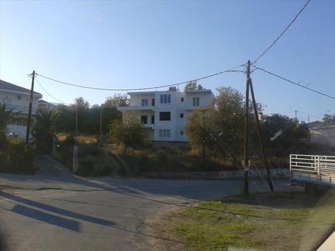 Cottage w Evija