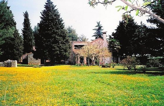 Villa w Novigrad