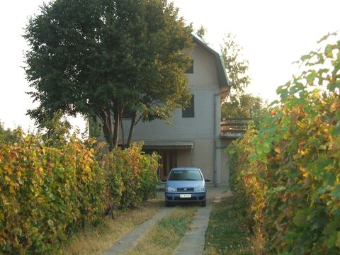 Detached house w Sremski Karlovci