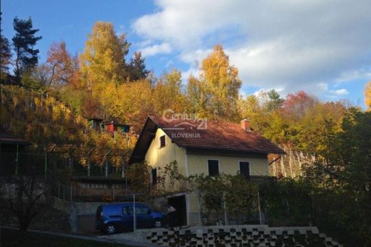 Cottage w Litija