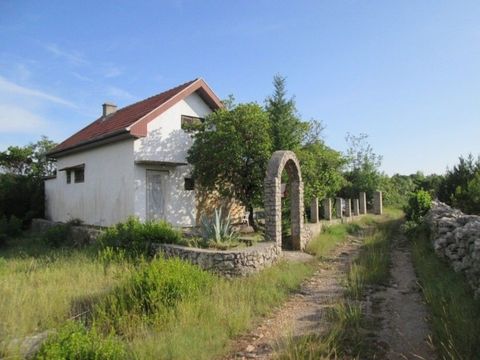 House w Žanjic