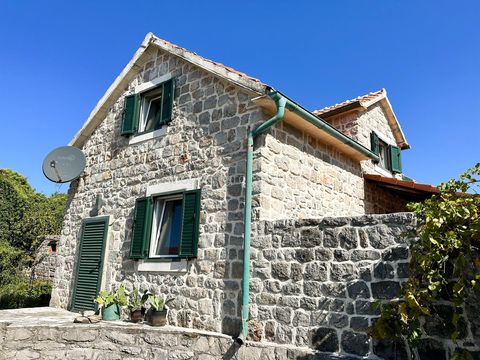 House w Tivat