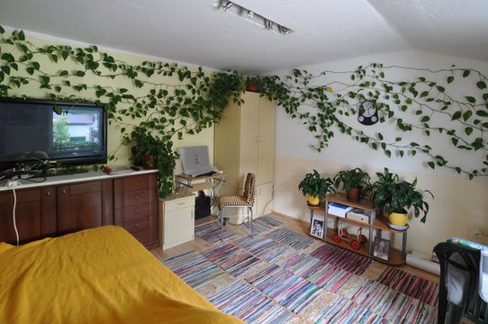 Apartment w Borovnica