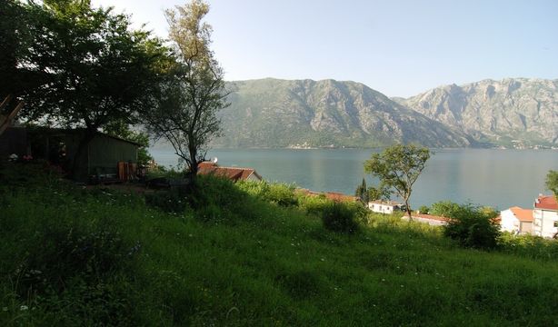 Land w Kotor