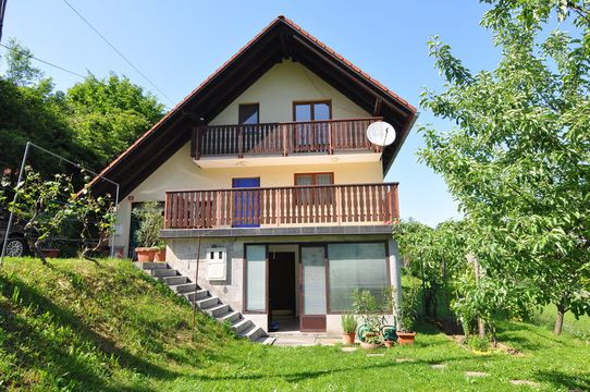 Detached house w Ivančna Gorica