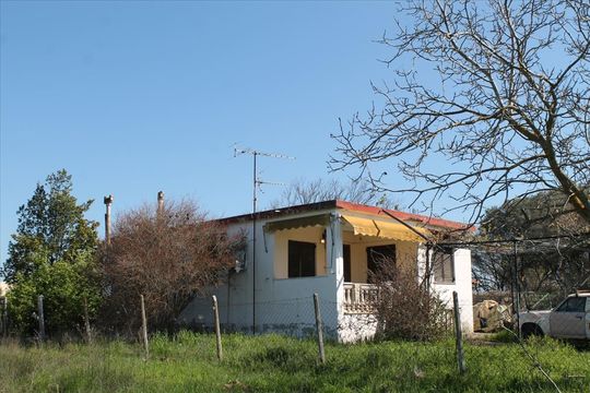 Cottage w Thessaloniki